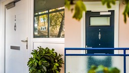 Modern FD30 fire door set installed in a commercial building, combining fire protection with aesthetics.